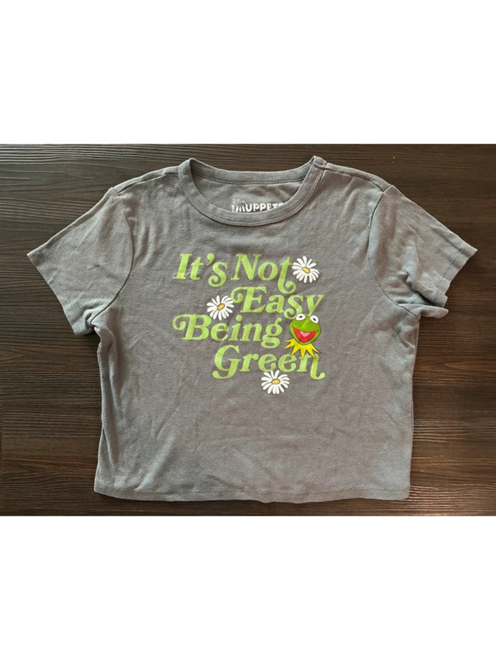 Disney muppets it’s not easy being green t shirt medium
